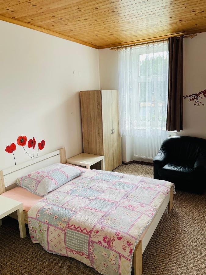 Ubytování U Lva Žirovnice Exteriér fotografie
