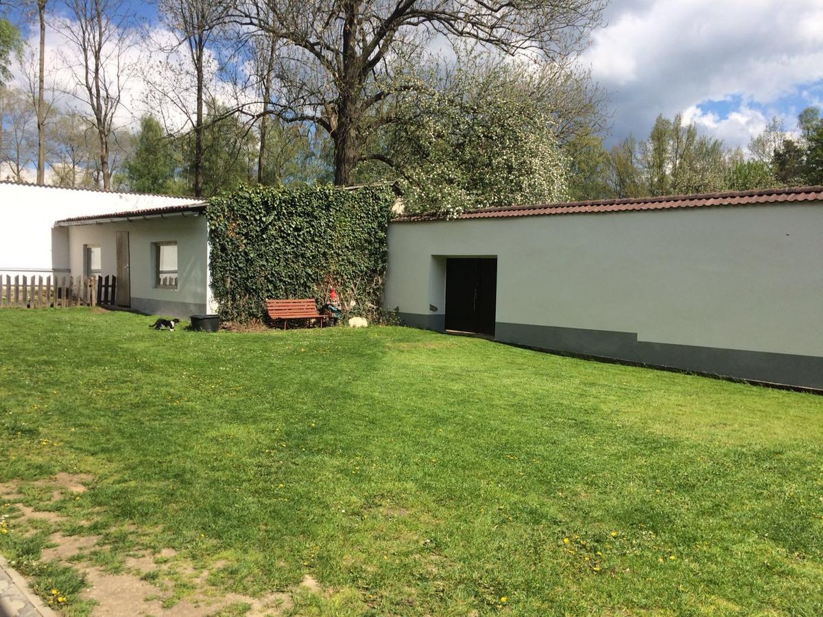 Ubytování U Lva Žirovnice Exteriér fotografie