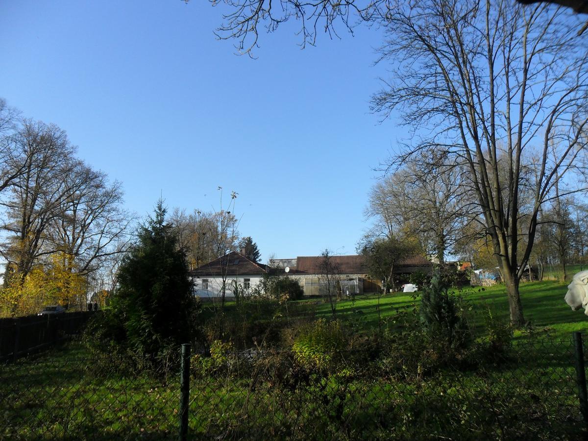 Ubytování U Lva Žirovnice Exteriér fotografie